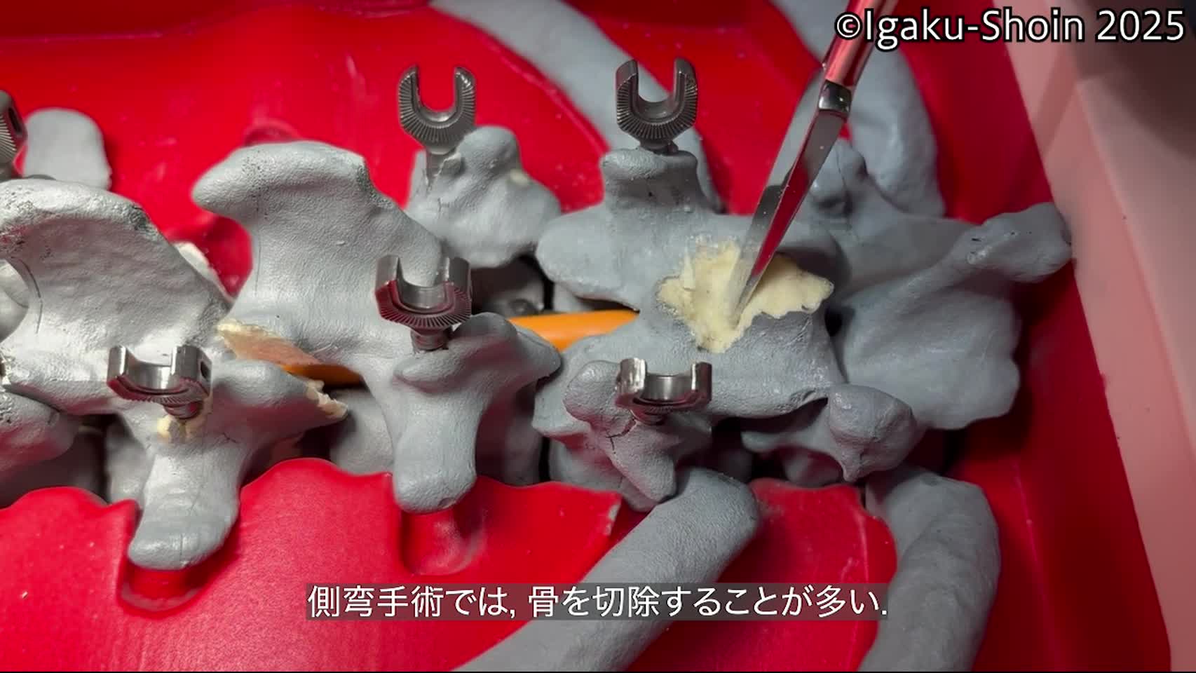 動画35　ノミの使い方：割る